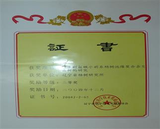300x200