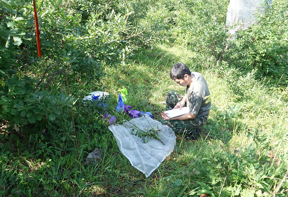 02.jpg