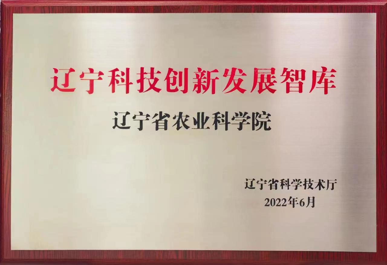 02.jpg
