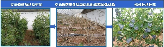 03.jpg
